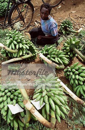 A woman sitting amongst bananas,Uganda.