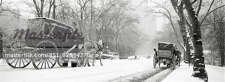 Central Park in falling snow,New York City,New York,USA