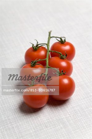 Vine tomatoes