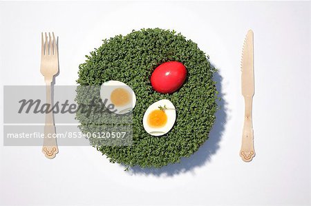 Easter egg and boiled egg on cress