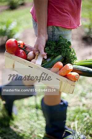 Young woman with vegetables in basket