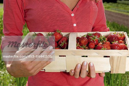 Young woman in strawberry field