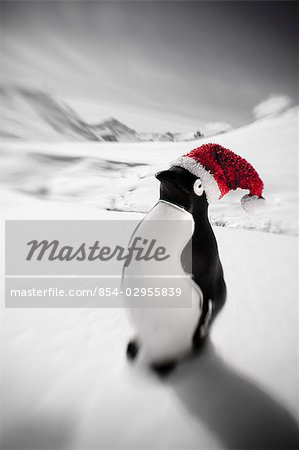 Plastic penguin with a red santa hat standing in the snow Hatcher Pass Southcentral Alaska Winter