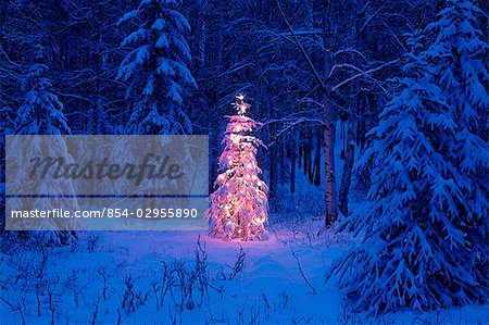 Lit Christmas Tree in Forest at Twilight SC Alaska Winter