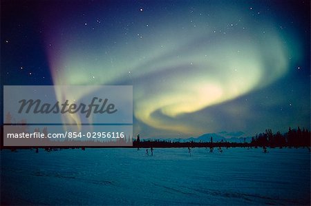 Aurora over spruce forest and the Alaska Range near Trapper Creek during Winter in Southcentral Alaska