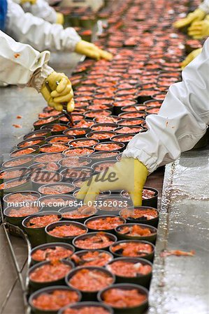 Ocean Beauty plant workers inspect cans of sockeye salmon before they are sealed and cooked, Naknek, Alaska./n