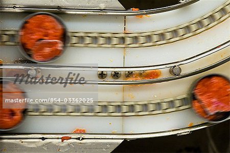 Canned sockeye salmon moves along a conveyor belt on a canning line, Naknek, Alaska/n