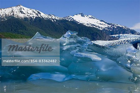Recently calved from the terminus of Mendenhall Glacier in Mendenhall Lake, an iceberg reveals the blue ice glaciers are so well known for.
