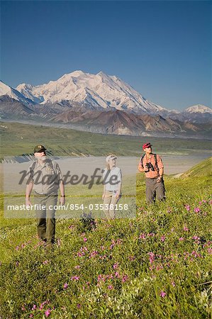 National Park Interpretive Ranger takes a young couple on a *Discovery Hike* near Eielson visitor center Denali National Park Alaska