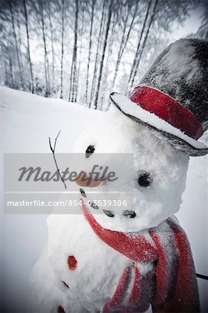 Portrait of snowman with red scarf and black top hat, winter, Eagle River, Alaska, USA.