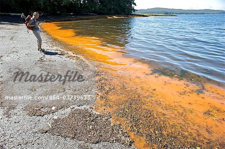 Two women inspect the red tide, caused by rapid algae bloom, in the Tongass Narrows near Ketchikan, Southeast Alaska, Summer