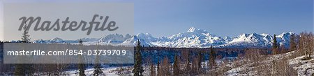 Panoramic view of afternoon light over Mt. McKinley and the Alaska range, Denali State Park,  Southcentral Alaska, Winter