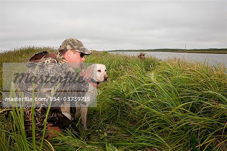 Hunter with Yellow Lab and duck call hunting along the coast of Bristol Bay at Crystal Creek Lodge, King Salmon, Southwest Alaska, Summer