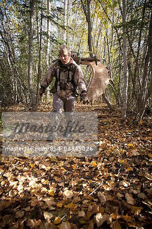 Male bow hunter carries a 54" moose antler rack on his backpack as he hikes out of hunt area, Eklutna Lake area, Chugach State Park, Southcentral Alaska, Autumn