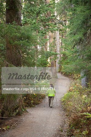 Woman hiking on Winner Creek Trail in Spruce and Hemlock boreal rain forest near Girdwood, Chugach National Forest, Southcentral Alaska, Autumn