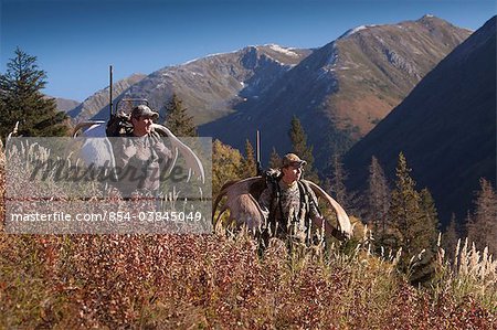 Two male moose hunters carry their trophy moose antlers as they hike out from his hunt in the Bird Creek drainage area, Chugach National Forest, Chugach Mountains, Southcentral Alaska, Autumn