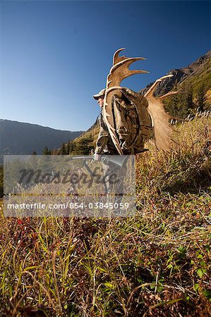 Male moose hunter stops to enjoy the view as he hikes out of hunt area with trophy moose antler on his pack, Bird Creek drainage area, Chugach Mountains, Chugach National Forest, Southcentral Alaska, Autumn