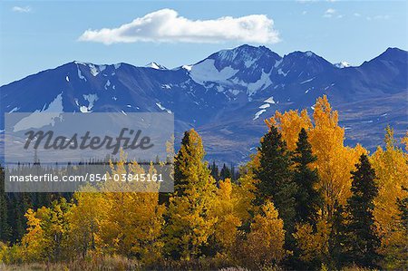 Scenic view of mountains and colorful Aspen and Willow trees along the Alaska Highway between Haines and Haines Junction, Yukon Territory, Canada, Autumn