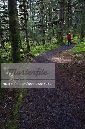Woman hiking in late afternoon on a trail through Sitka Spruce trees around Lake Gertrude in Fort Abercrombie State Historical Park, Kodiak Island, Southwest Alaska, Fall