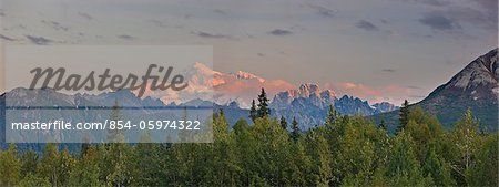 Sunrise alpenglow lights up Mount McKinley and the Moose's Tooth, as seen from the Veterans Memorial in Denali State Park, Alaska, Summer