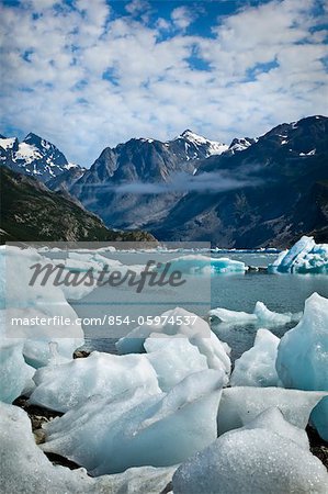 Scenic of icebergs from McBride Glacier in Muir Inlet, Glacier Bay National Park & Preserve, Southeast Alaska, Summer