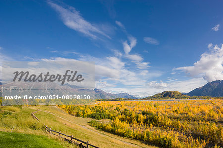 The Glacially Carved Matanuska River Valley Filled With The Fall Colors Of Birch And Cottonwood Trees, Pioneer Peak And The Chugach Mountains In The Background, Fall, Palmer, Southcentral Alaska, Usa.