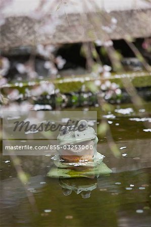 A frog figure in the pond of garden, Tenryuji, Sagano, Kyoto, Japan