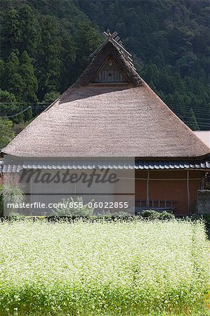 Traditional folk houses at Miyama-cho in autumn, Kyoto Prefecture, Japan