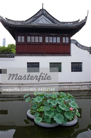 Lotus pond at Yuyuan garden, Shanghai, China