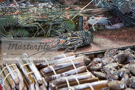 Shop of seafood at Sai Kung, Hong Kong