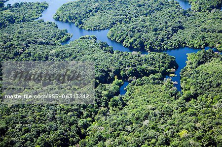 Aerial view of Amazon jungle and Amazon River, Brazil