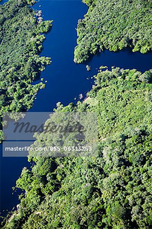 Aerial view of Amazon jungle and Amazon River, Brazil