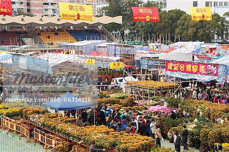 Chinese new year flower market, Tsuen Wan, Hong Kong