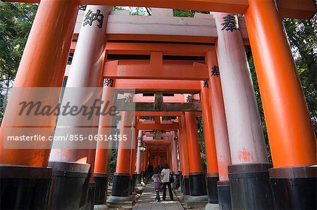 Tunnel of torii gates at Fushimi Inari Taisha Shrine, Kyoto, Japan