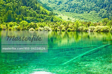 Five Flower Lake (Wuhuahai), Jiuzhaigou, Sichuan, China