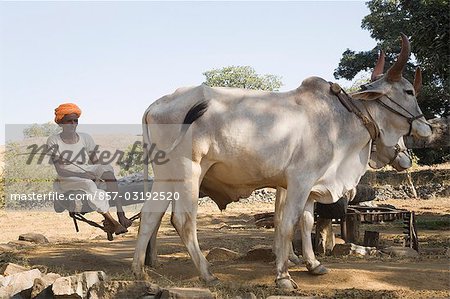 India, Rajasthan state, Bera area, farmer with traditional clothes, Stock  Photo, Picture And Rights Managed Image. Pic. HMS-HEMIS-1856122