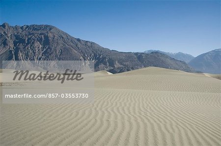 Rippled pattern on a sand dune, Hunder, Nubra Valley, Ladakh, Jammu and Kashmir, India