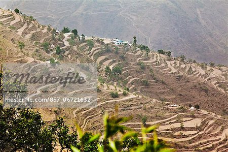 High angle view of terraced fields, Mussoorie, Uttarakhand, India