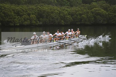 Rowers Rowing Hard