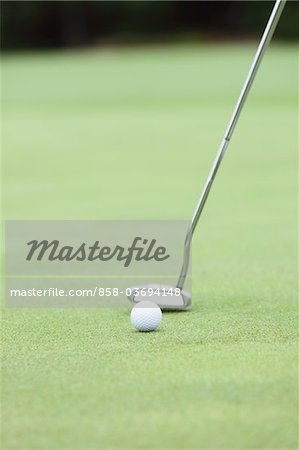 Golf Ball And Putter On Green