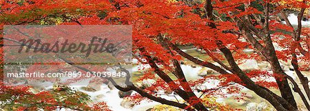 Fukushima Prefecture The Natsui river ravine