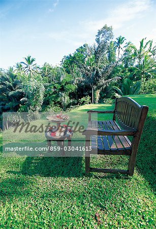 Wooden Bench In A Tropical Garden