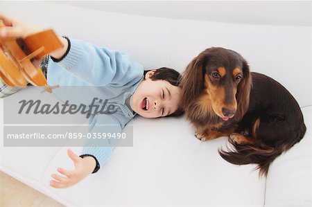 Miniature Dachshund And A Boy Relaxing