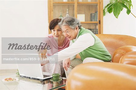 Senior Couple Looking At PC