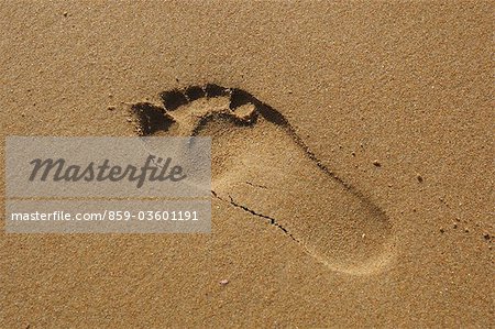 Foot Prints In The Sand,Santander,Spain