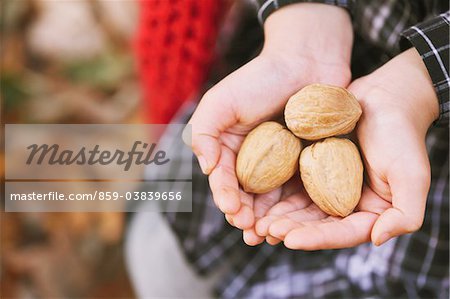 Human Hands Holding Walnut