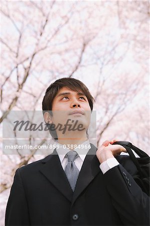 Businessman Standing Under Blooming Cherry Tree