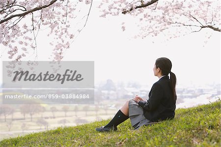 School girls standing in front of cherry - Stock Photo [30569289] - PIXTA