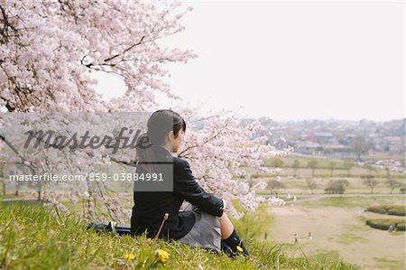 School girls standing in front of cherry - Stock Photo [30569289] - PIXTA