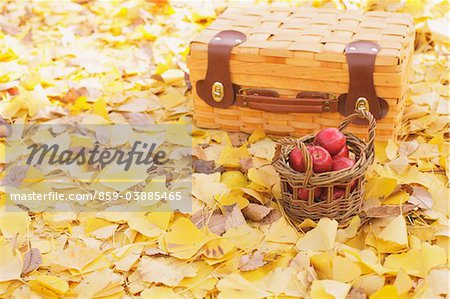 Close Up Of Red Cherries And Box On Ginkgo Laves